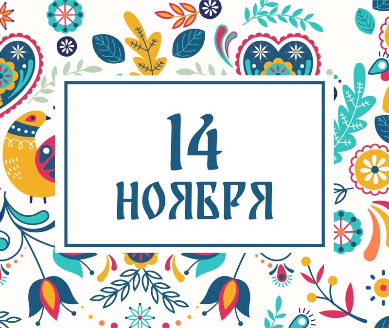 Не выгоняйте кошку из комнаты! Народные приметы на сегодня, 14 ноября – что можно и нельзя делать