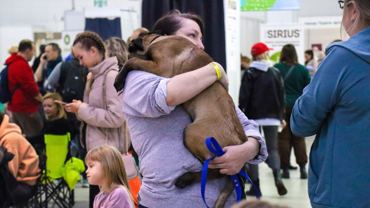 13 ноября – Всемирный день доброты. Какие ещё праздники сегодня отмечают в России и мире?