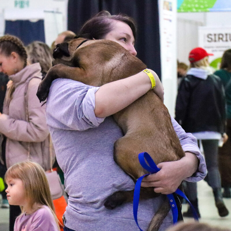 13 ноября – Всемирный день доброты. Какие ещё праздники сегодня отмечают в России и мире?