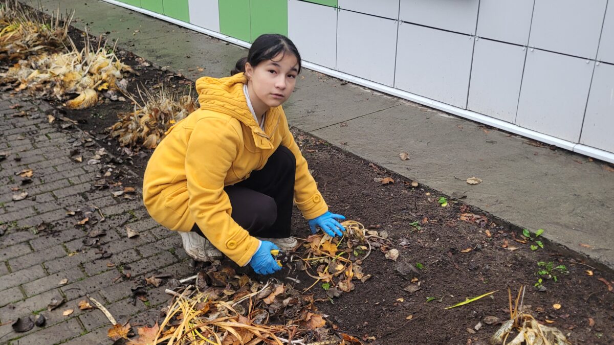 ЭКОЛОГИЧЕСКАЯ СКОРАЯ ПОМОЩЬ