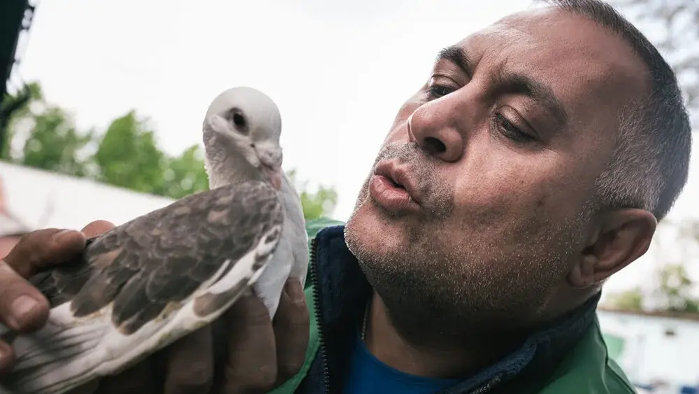 Добрая история: Карен Даллакян спас енота по кличке Нотка