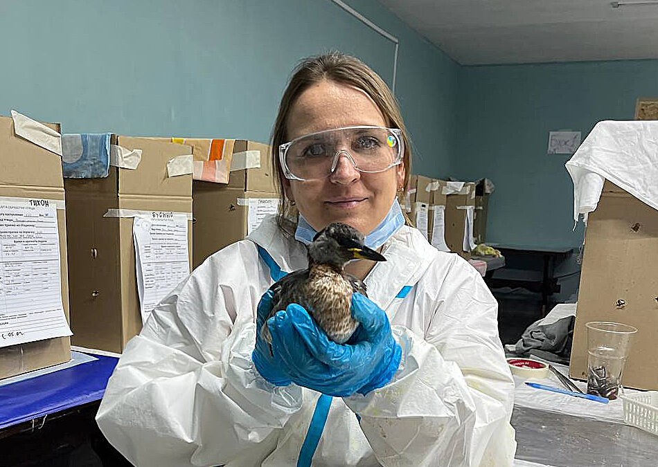 История о том, как волонтёрство меняет не только жизни животных, но и наши собственные