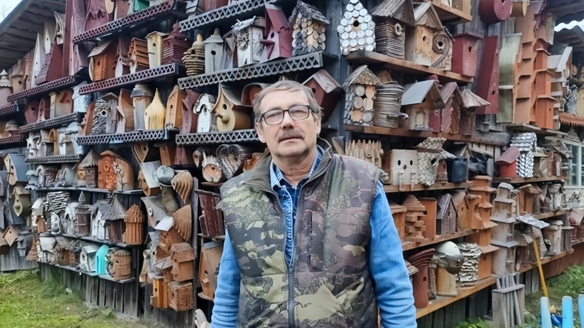 «Селятся скворцы, воробьи и пчёлы»: учитель труда превратил двор в музей скворечников