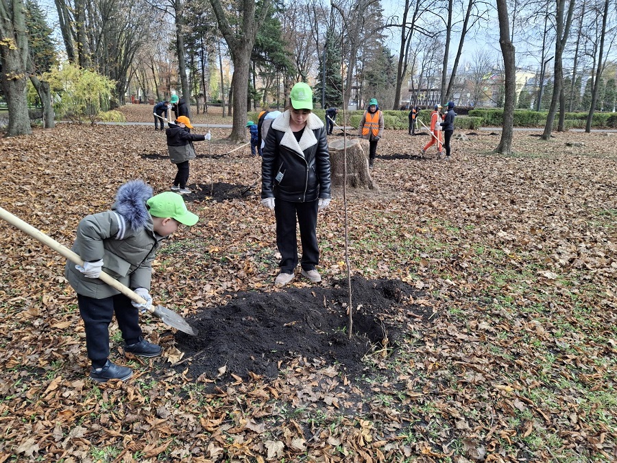 Волонтеры фонда «Милосердие» украсили новыми саженцами Быханов сад в Липецке
