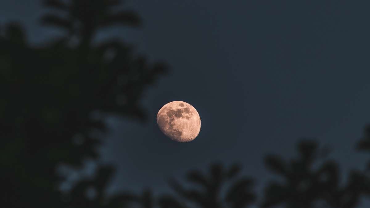 Суперлуние 5 ноября 2025 года: что оно значит и как влияет на человека