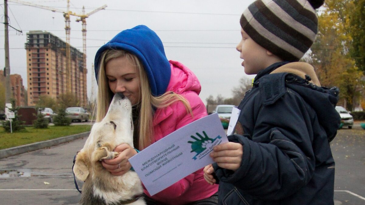 В Волгограде приют для животных просит Путина о помощи: им отключили отопление, а власти игнорируют