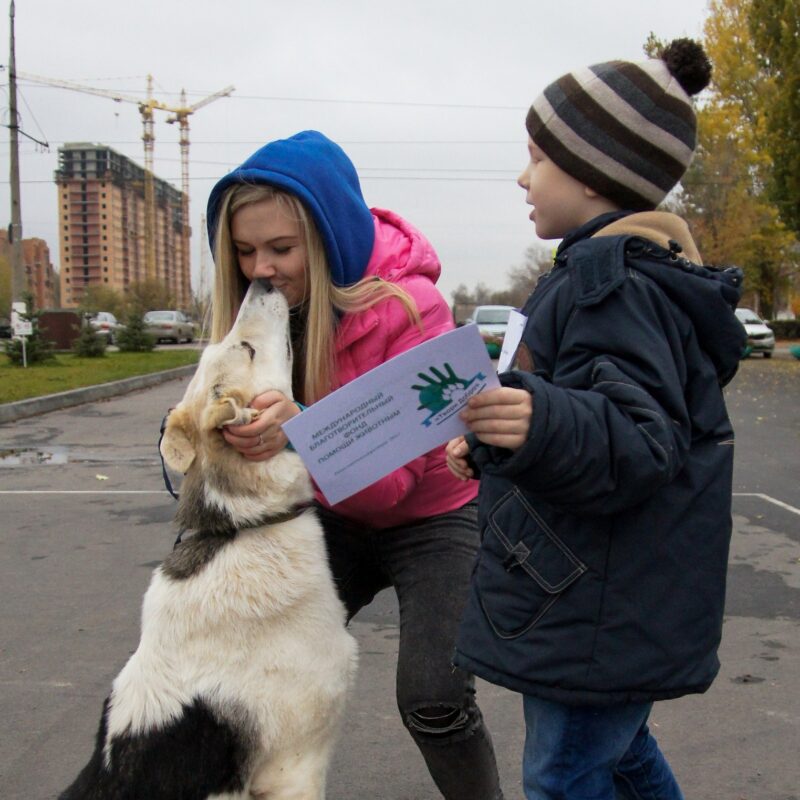 В Волгограде приют для животных просит Путина о помощи: им отключили отопление, а власти игнорируют