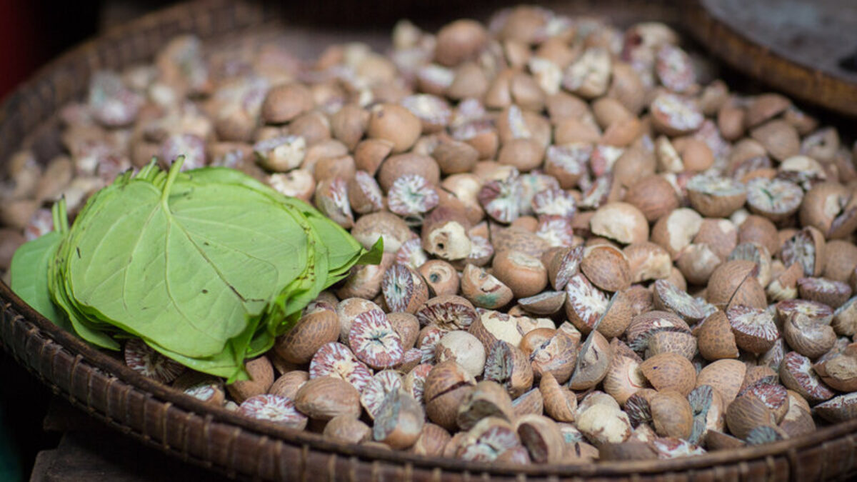 Плод дьявола и энергетик: чем россиян встревожил трендовый бетельный орех
