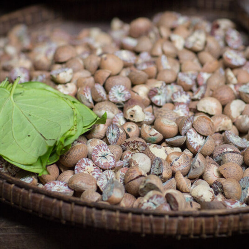 Плод дьявола и энергетик: чем россиян встревожил трендовый бетельный орех