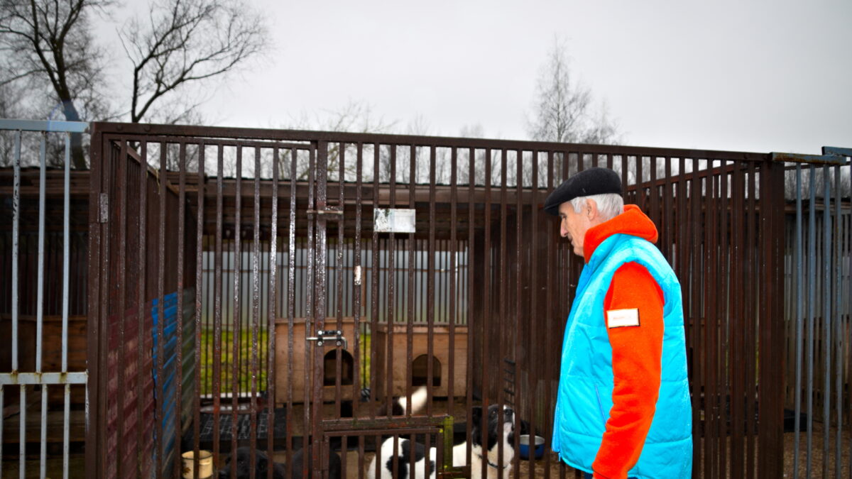 МЯСНОЙ ДЕСАНТ