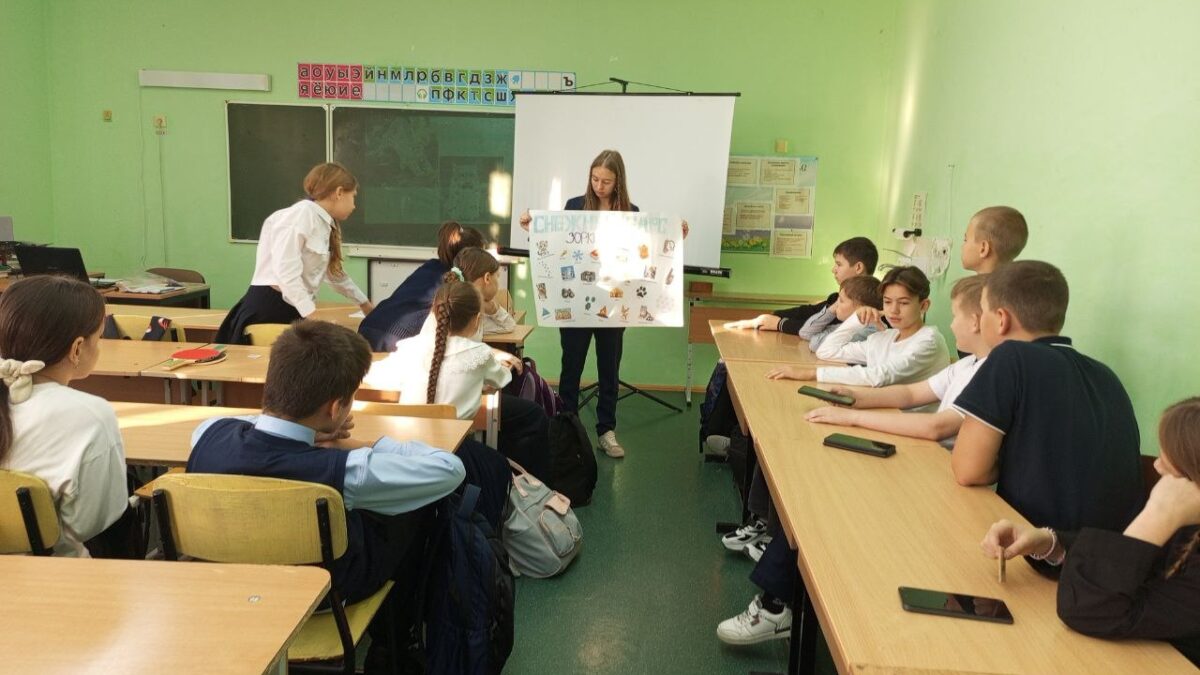 Игра «Снежный барс — Зоркий глаз»