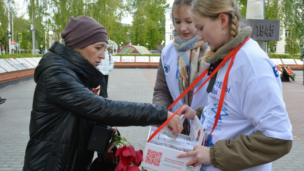 Красная гвоздика