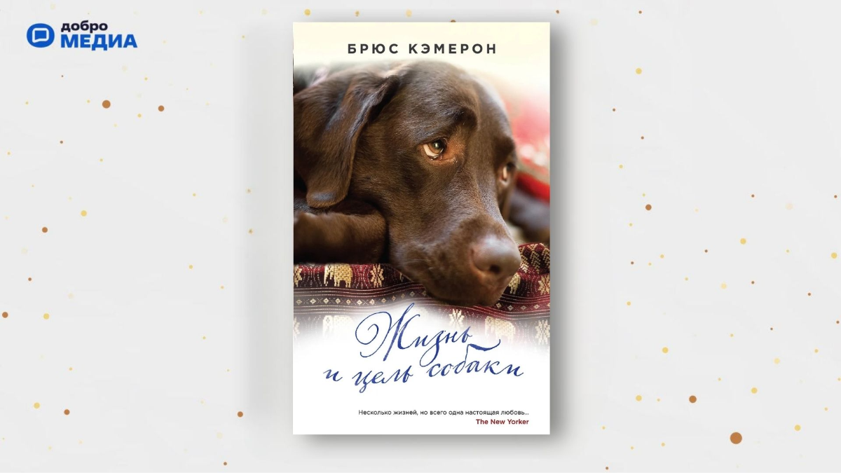 «Жизнь и цель собаки», Брюс Кэмерон