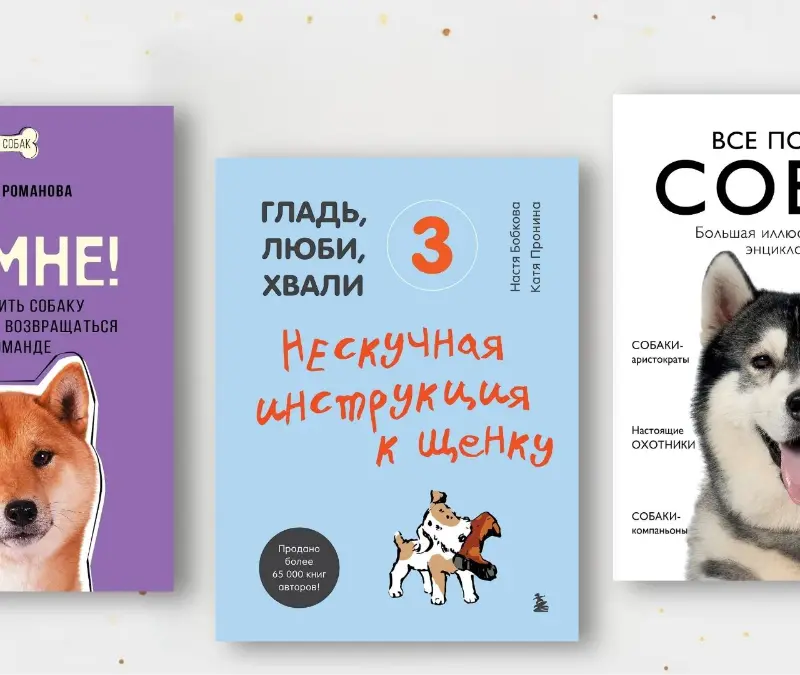 Топ-12 трогательных историй и полезных пособий о собаках 