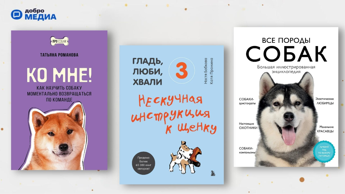 Топ-12 трогательных историй и полезных пособий о собаках 