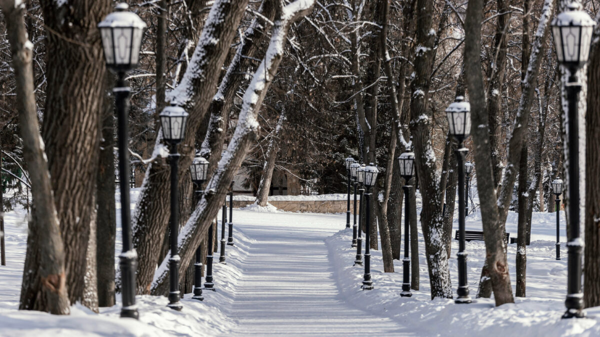 Аномальное тепло и резкие морозы: чем удивит россиян погода в декабре