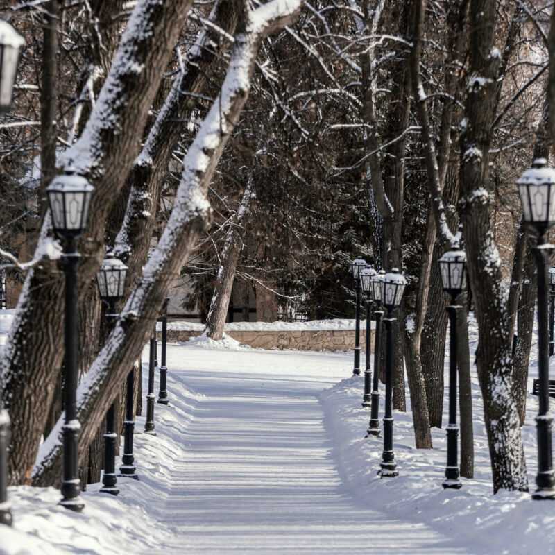Аномальное тепло и резкие морозы: чем удивит россиян погода в декабре