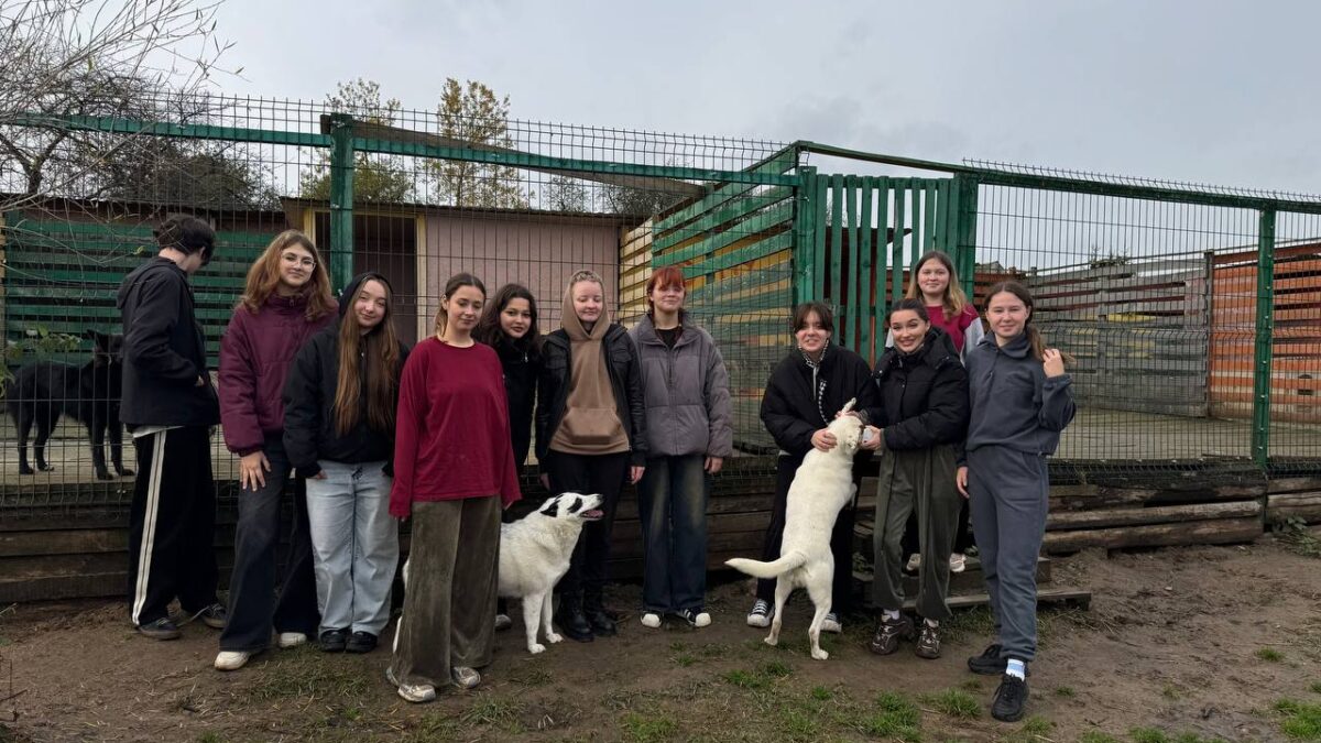 Волонтеры Молодежного центра «МОЖНО» посетили приют для собак «ТИМВИЛЛЬ»