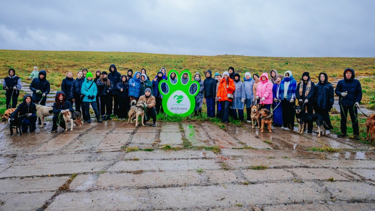 Месяц добрых дел: 10 необычных и интересных мероприятий