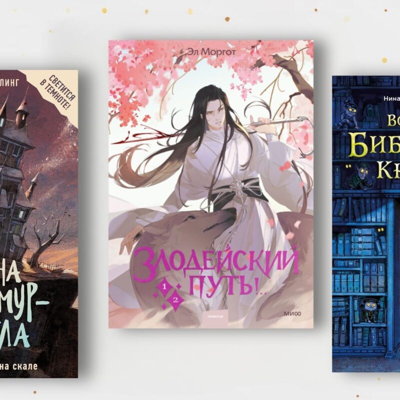 Что почитать подростку? Топ-11 увлекательных романов за 2025 год 