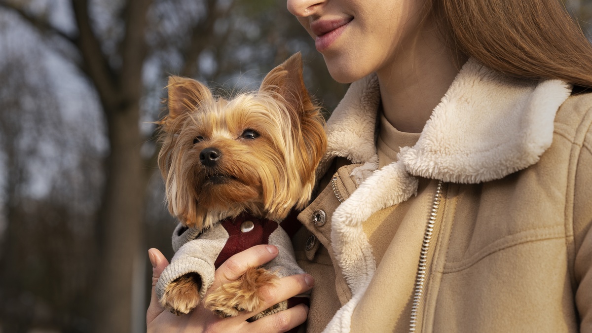 Всемирный день домашних животных-2025: история, традиции и интересные факты