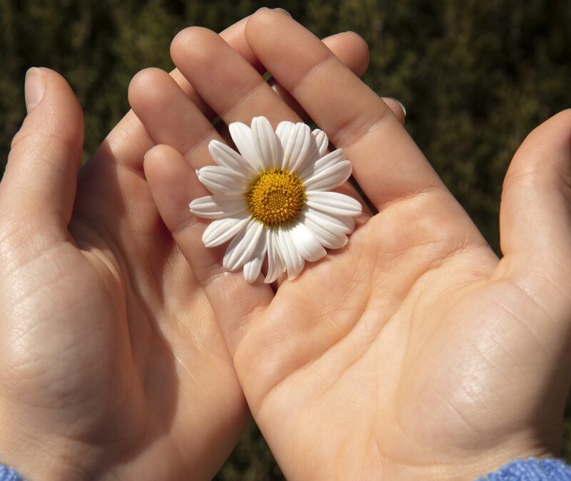 Всемирный день доброты-2025: история, традиции и интересные факты