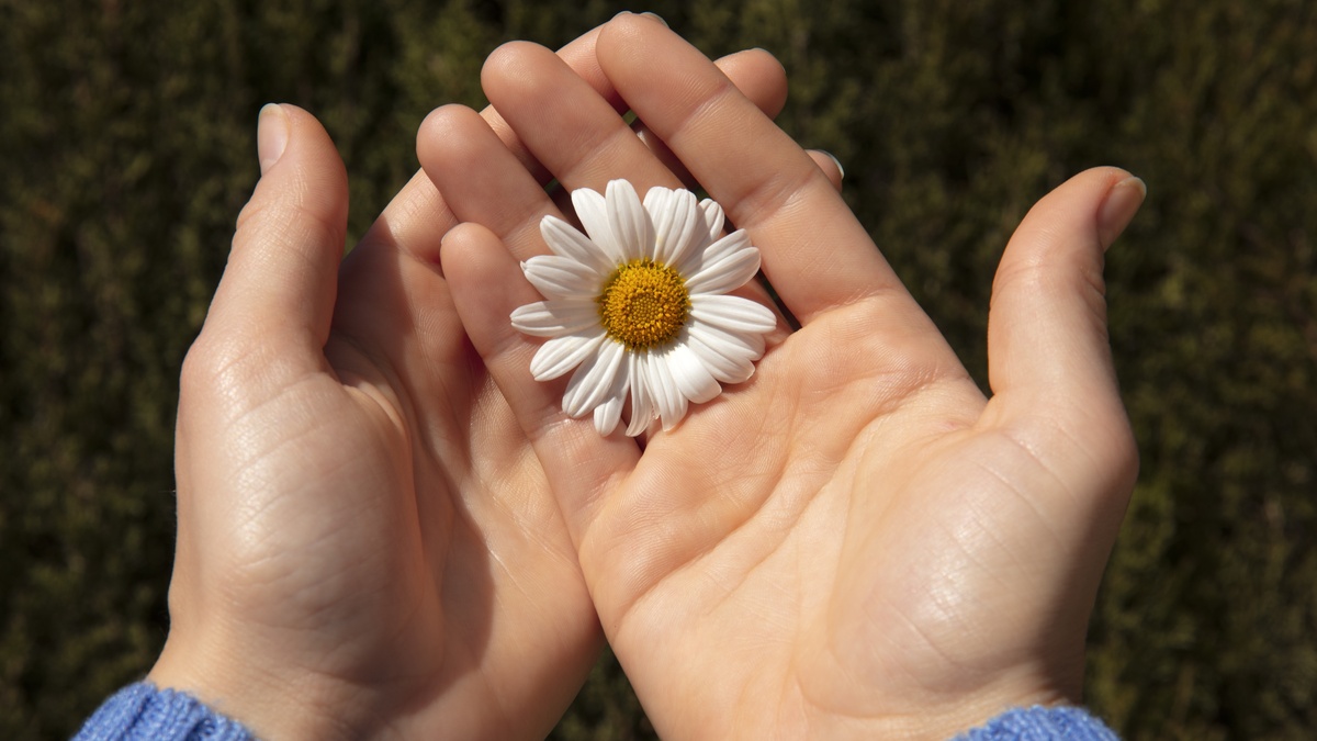 Всемирный день доброты-2025: история, традиции и интересные факты