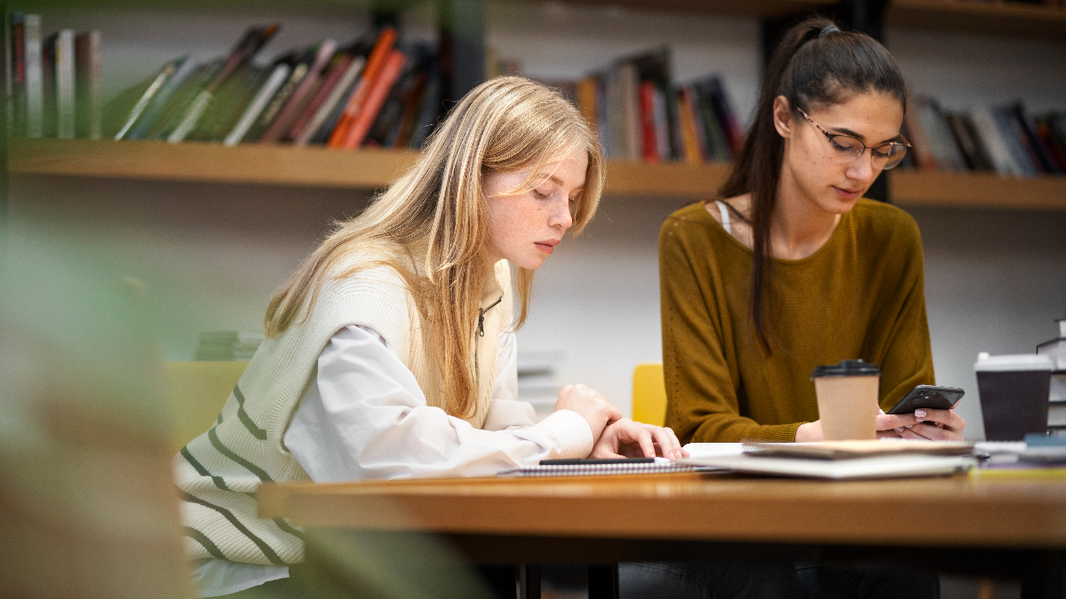 Как легко пройти коллоквиум и произвести впечатление на преподавателя?  