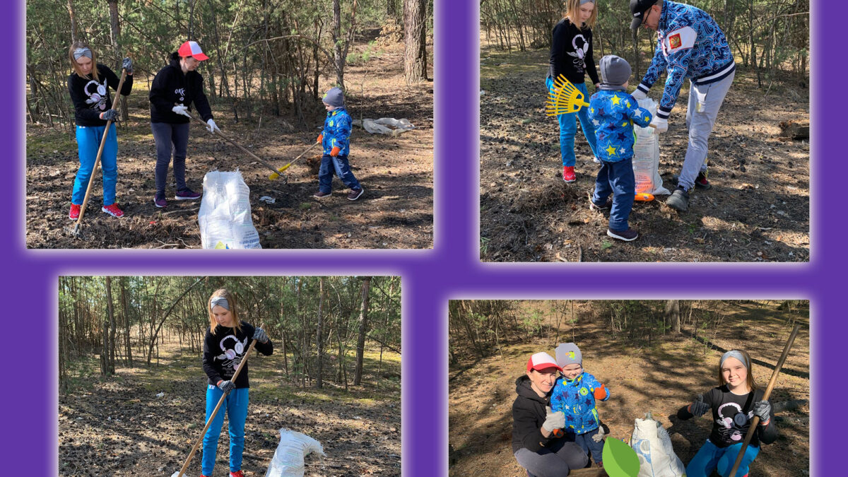 Экологическое волонтерство