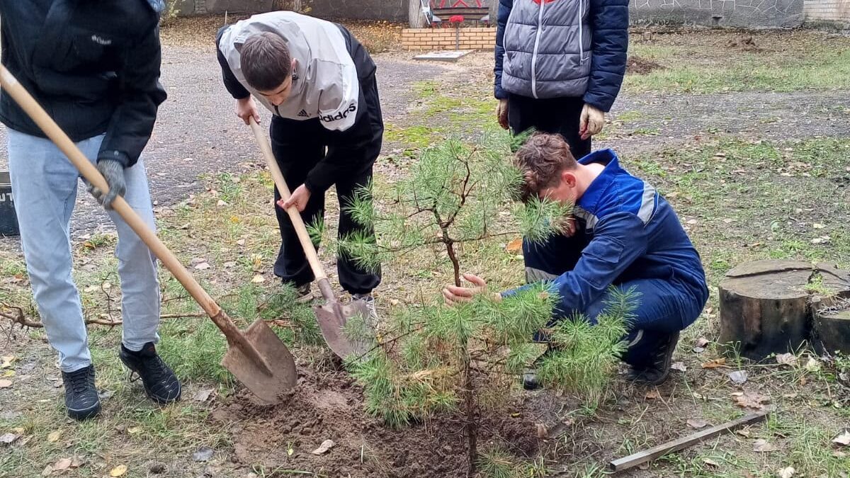 облагораживании памятного места
