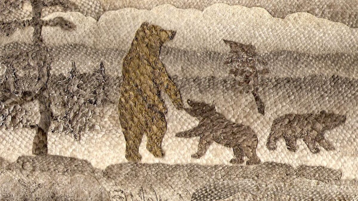 Цветовые акценты расставляет природа: художник создаёт уникальные картины из рыбьей кожи