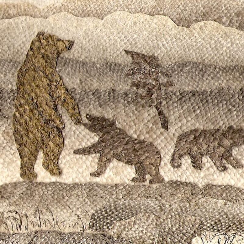 Цветовые акценты расставляет природа: художник создаёт уникальные картины из рыбьей кожи