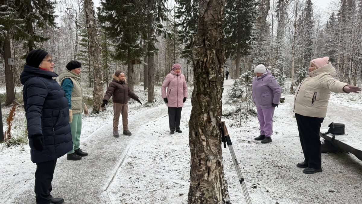 «Серебряная» физкультминутка с продолжением