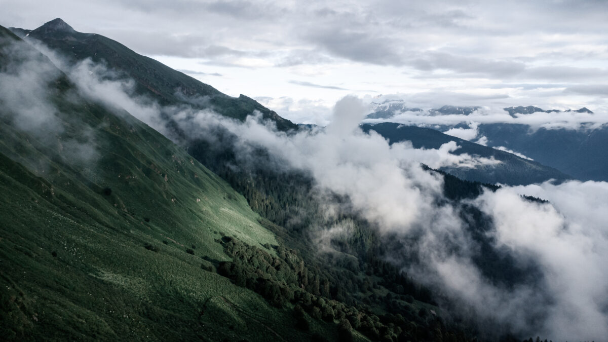 Кавказ — это про нас! Необыкновенные приключения волонтеров в Кавказском биосферном…