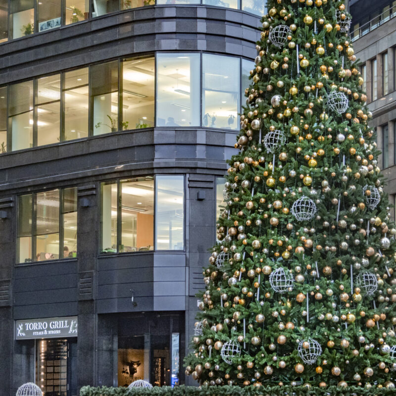 Двухдневная рабочая неделя ждёт россиян перед Новым годом