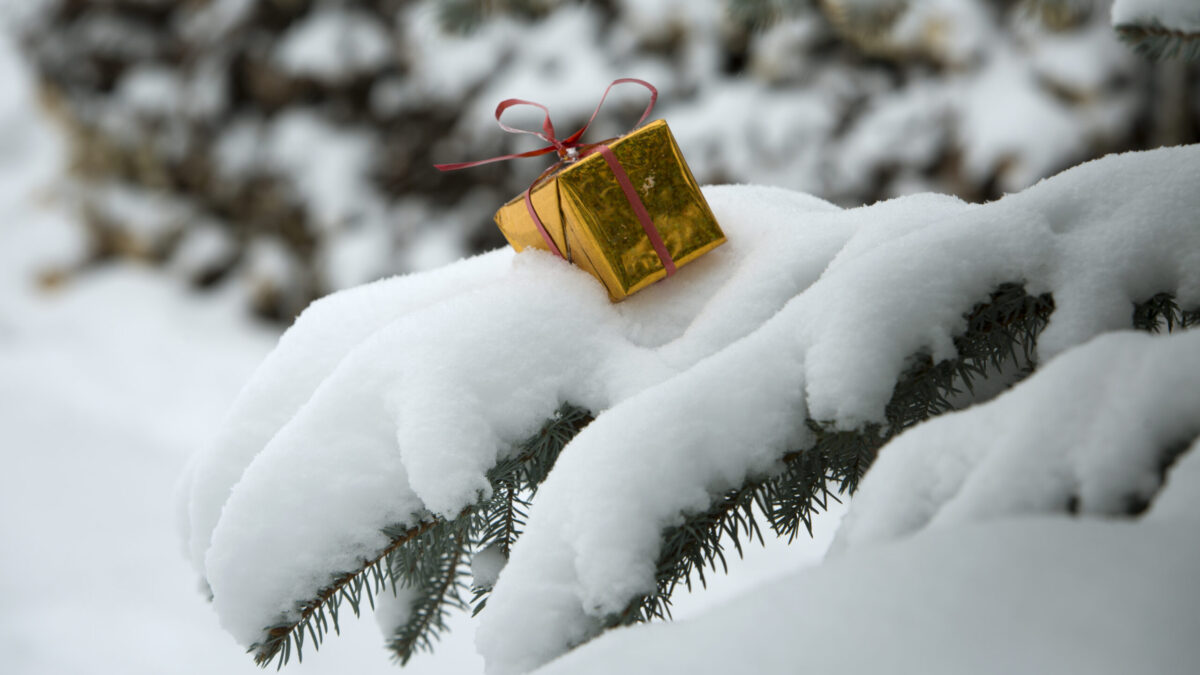 Муравьиная ферма, телескоп и умная колонка: 75 идей, что подарить мальчику на Новый год