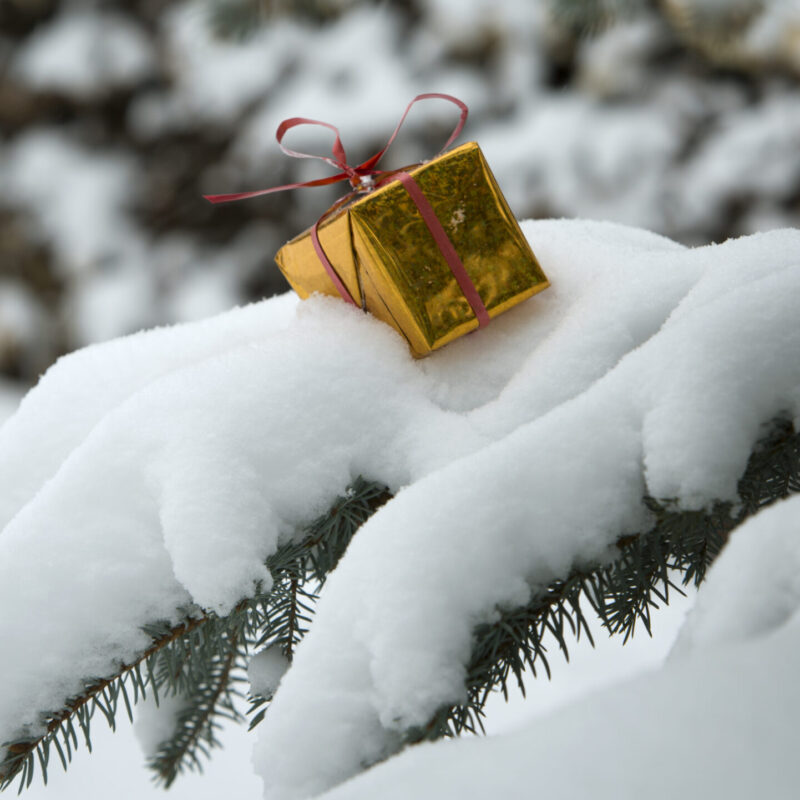 Муравьиная ферма, телескоп и умная колонка: 75 идей, что подарить мальчику на Новый год