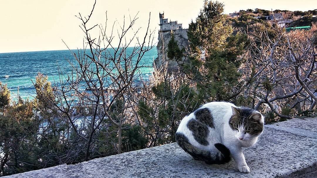 Милые истории о доброте, любви и дружбе из жизни: топ-20