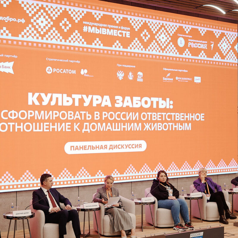 Крокодил с «Рублёвки» и зооволонтёрство: в Москве обсудили ответственность россиян за питомцев