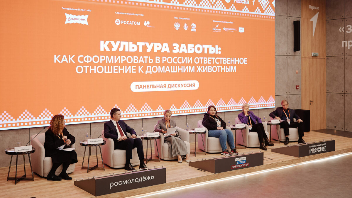 Крокодил с «Рублёвки» и зооволонтёрство: в Москве обсудили ответственность россиян за питомцев