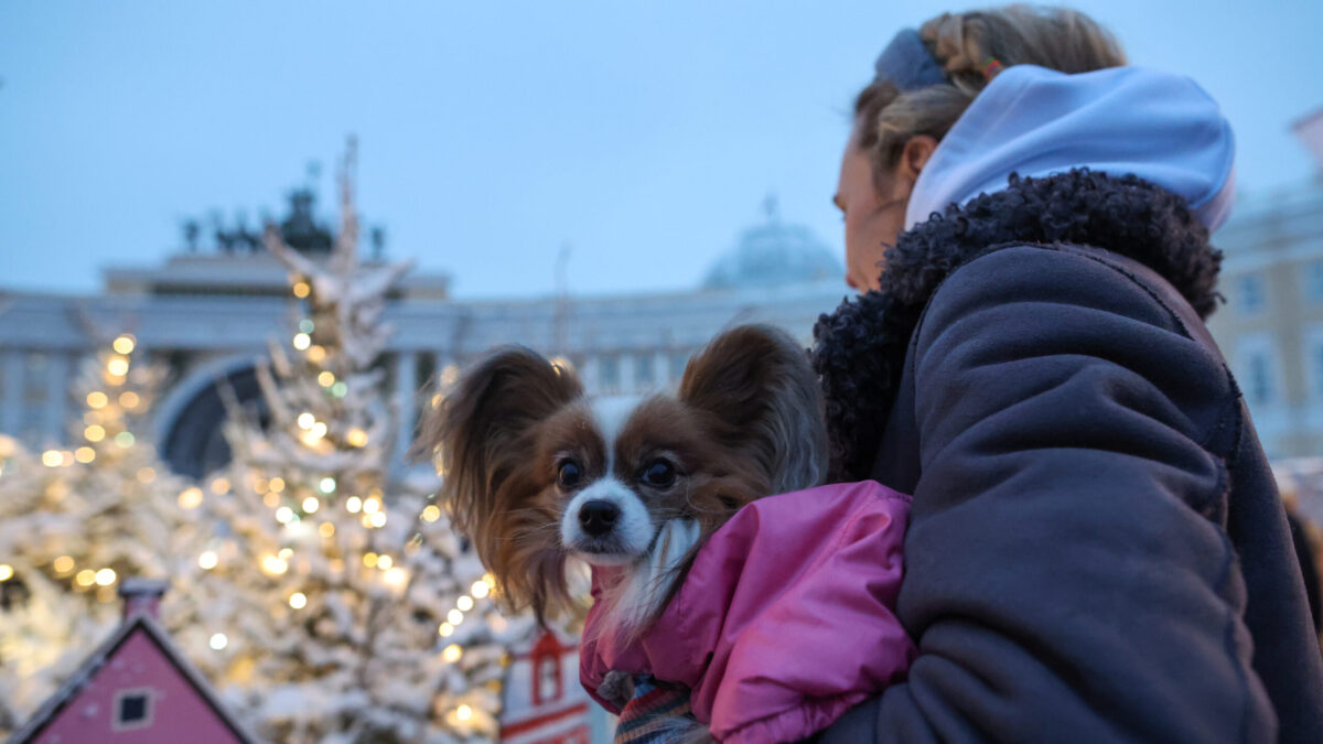 Куда поехать на Новый год-2026? Идеи и советы экспертов турбизнеса