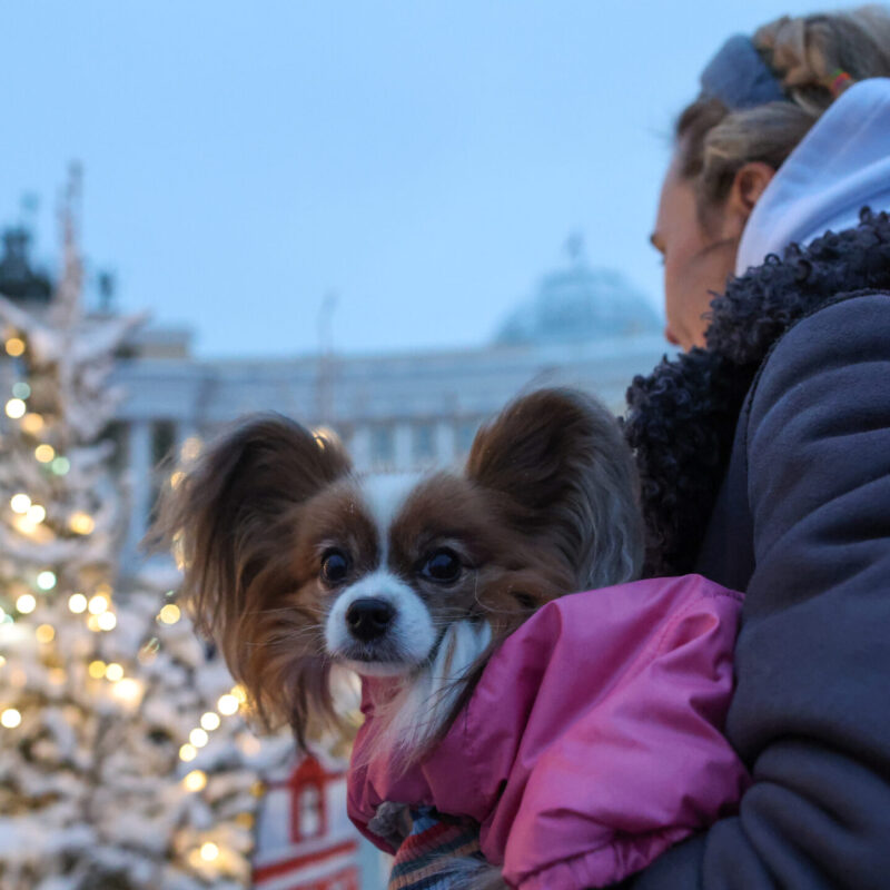 Куда поехать на Новый год-2026? Идеи и советы экспертов турбизнеса