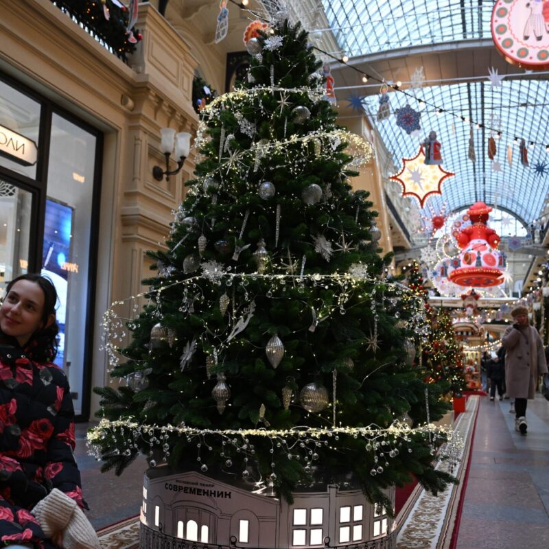 Как выбрать ёлку на Новый год? Живую и искусственную? На что обратить внимание?