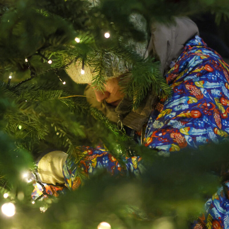 Безопасная гирлянда: как не допустить пожара на праздники