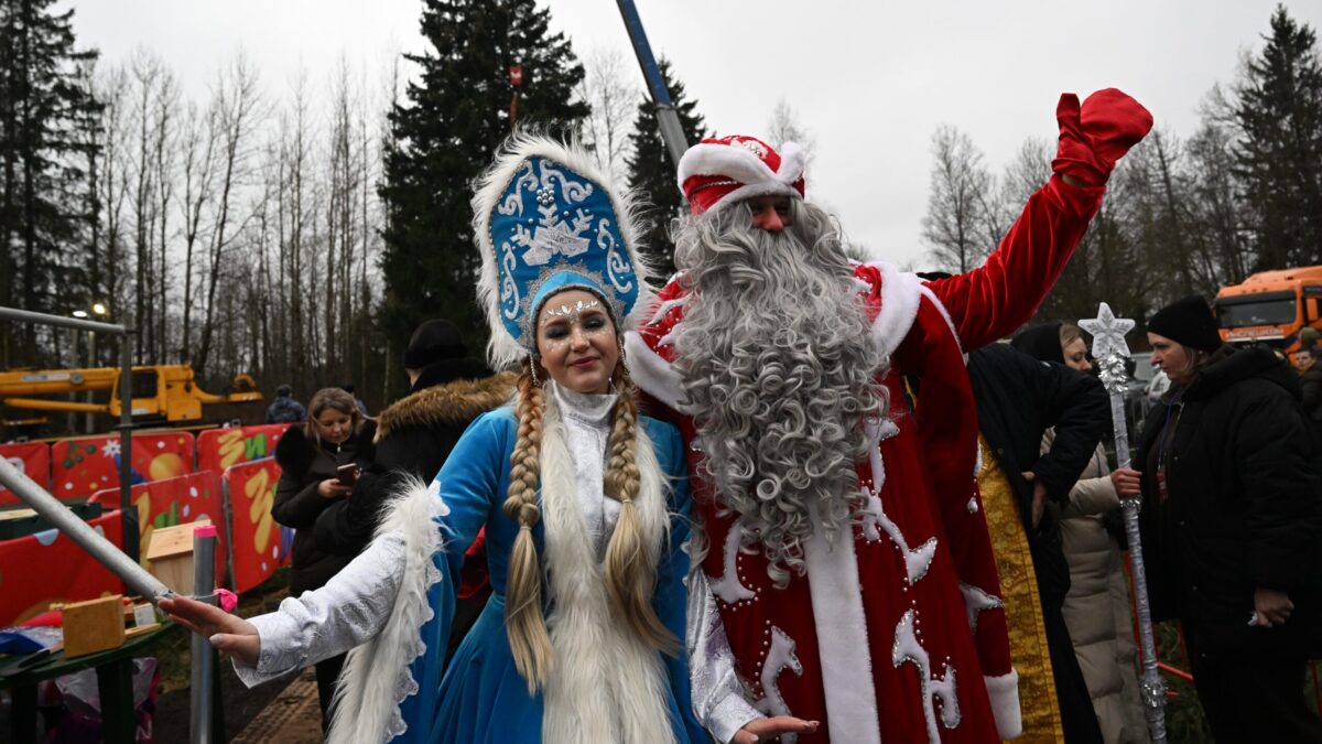 У Деда Мороза – только внучка. Где другие члены его семьи? Праздничное расследование