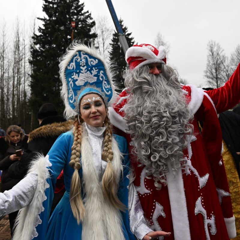 У Деда Мороза – только внучка. Где другие члены его семьи? Праздничное расследование