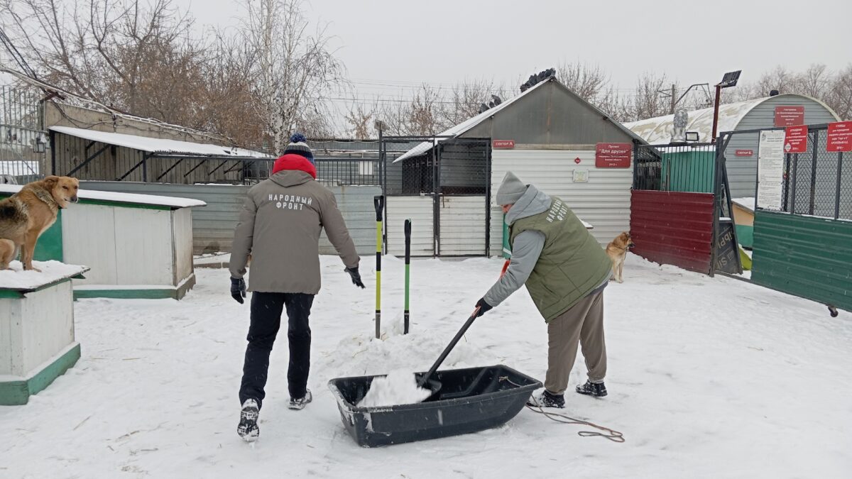 Добро сильнее снегопада: Молодёжка Народного фронта в Омской области снова приносит тепло приюту…