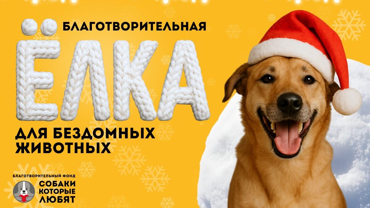 В Москве стартует акция «Благотворительная Ёлка», где каждый может сделать новогодний подарок…
