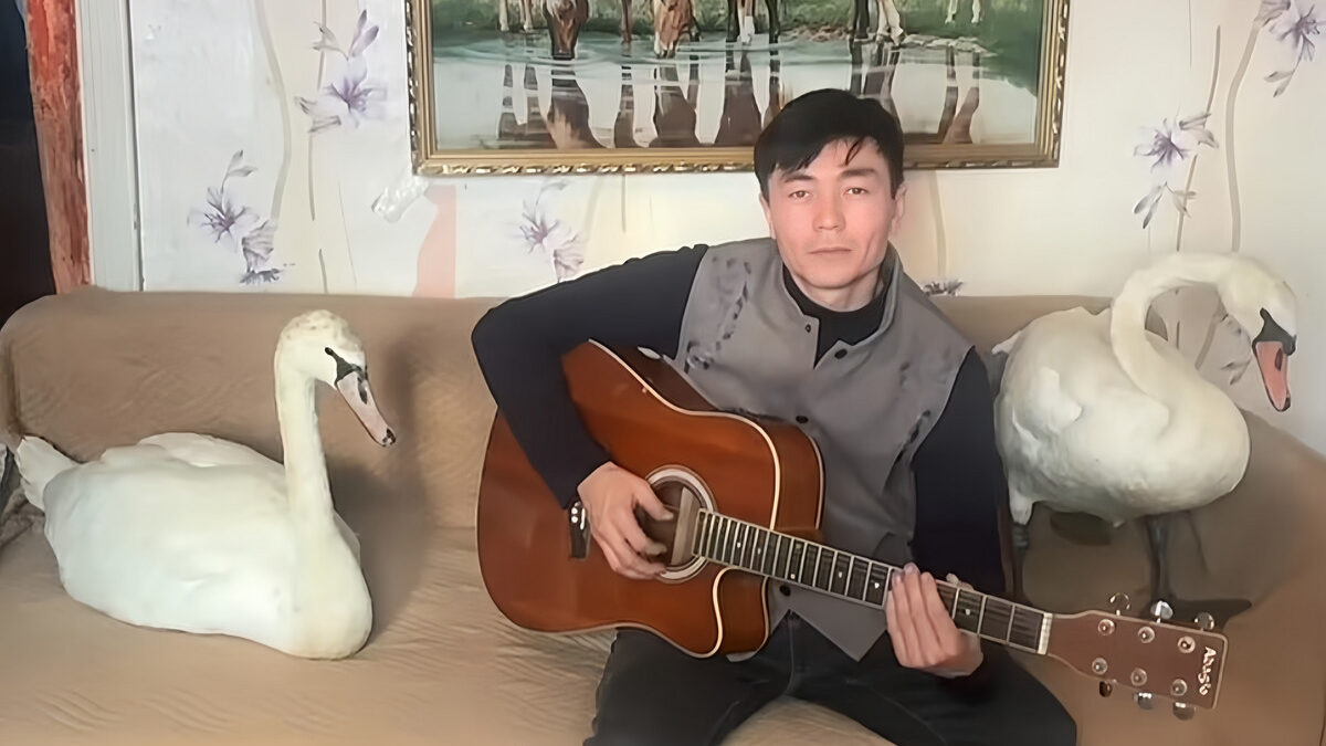 «Прощаясь, чуть-чуть поплакал»: скотовод спас пару лебедей от холодной смерти и стал звездой сети