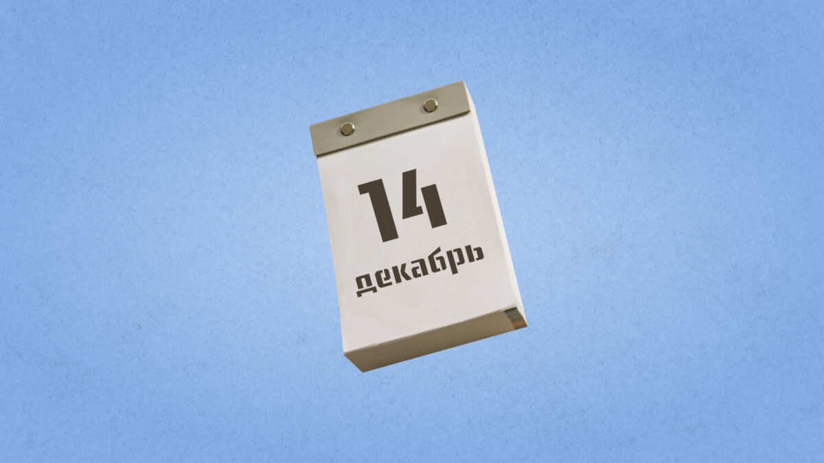 14 декабря – Международный день обезьян. Какие ещё праздники сегодня отмечают в России и мире?